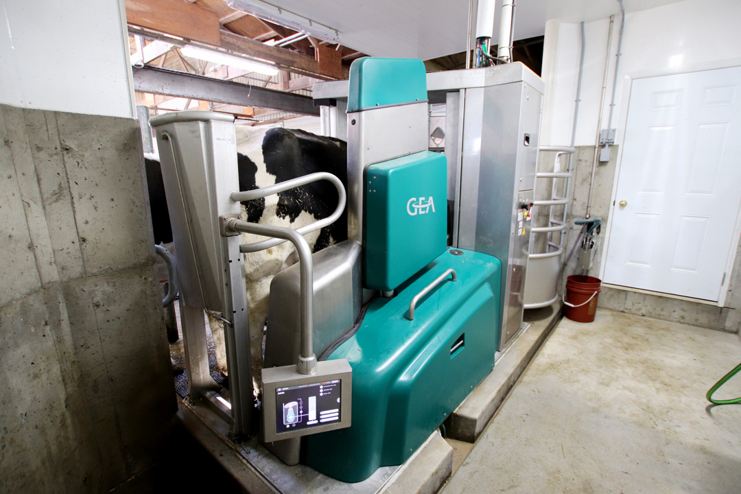 Brent Vink Dairy Lane Systems GEA R9500 Milking Robot